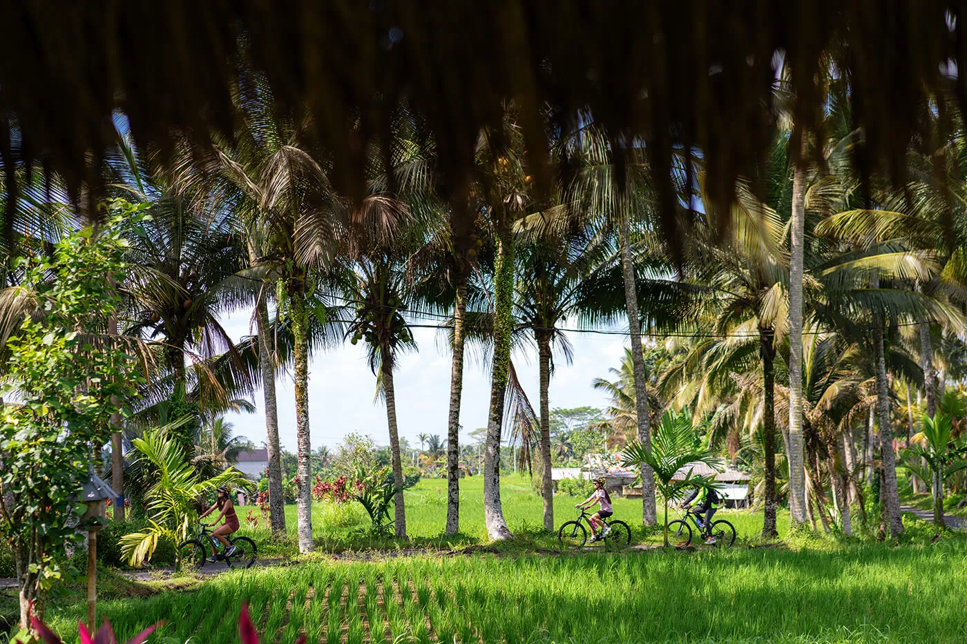 Eco-Friendly and Zero Emission